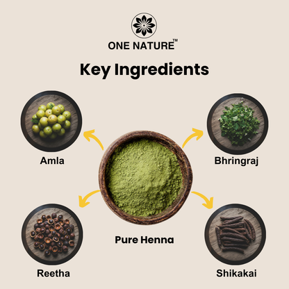 Key ingredients of a product by One Nature including Amla, Bhringraj, Pure Henna, Reetha, and Shikakai on a beige background.