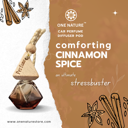 One Nature Car Perfume Diffuser Pod for cinnamon spice with product and branding elements.